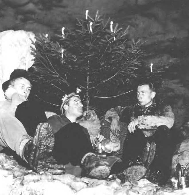 Christbaum